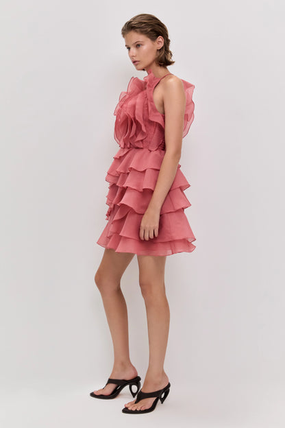 SPICED CORAL
