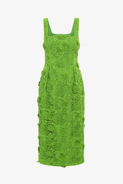 Fern