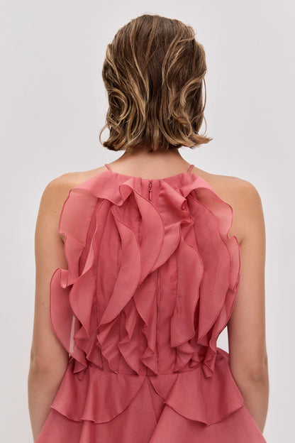 SPICED CORAL