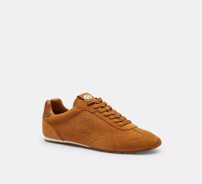 Shadow Brown