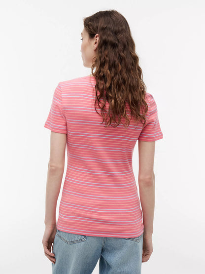 Garden Rose / Coral Stripe
