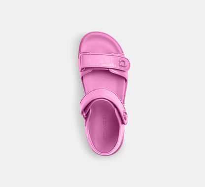 Fuchsia