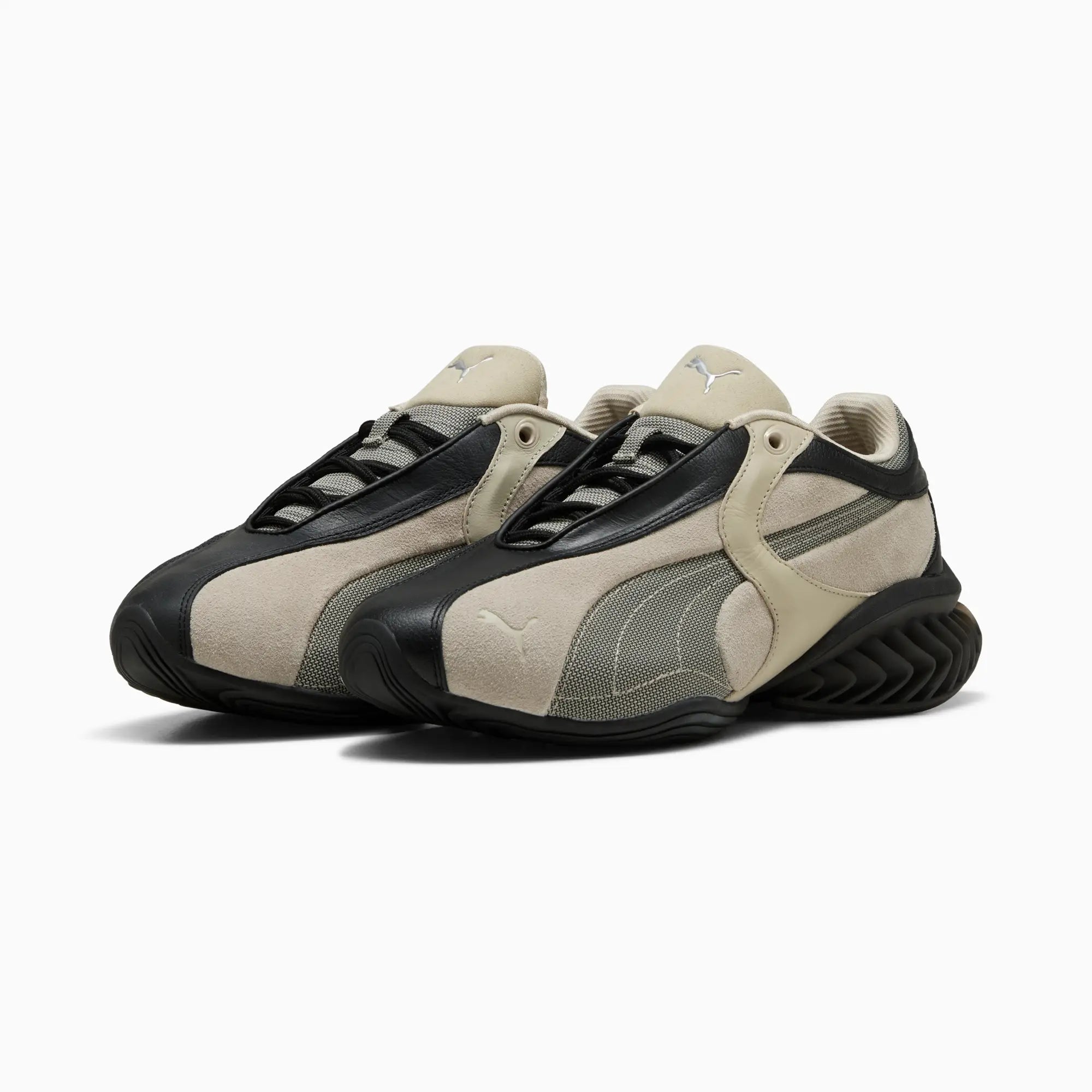 PUMA Black-Birch Tree