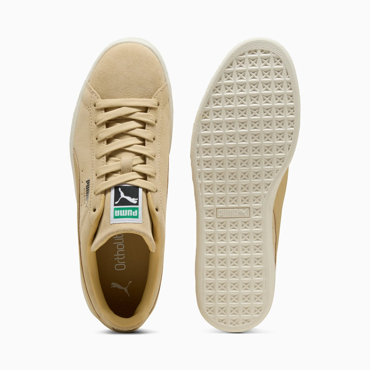 Pebble Path-Warm White