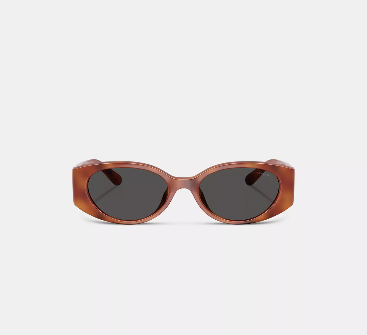Caramel Tortoise