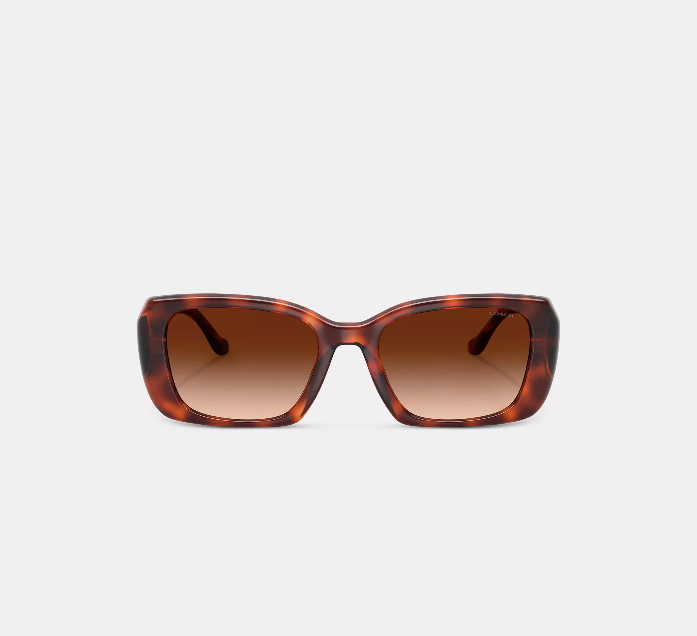 Caramel Tortoise