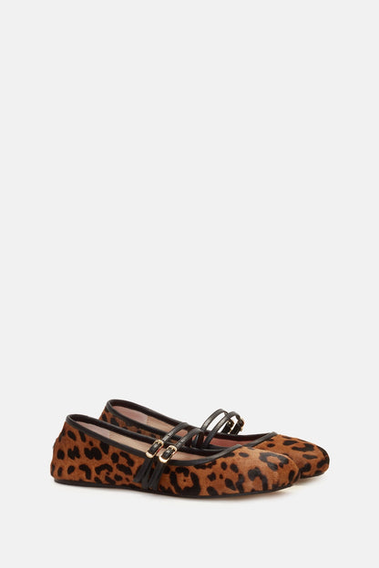 LEOPARDO