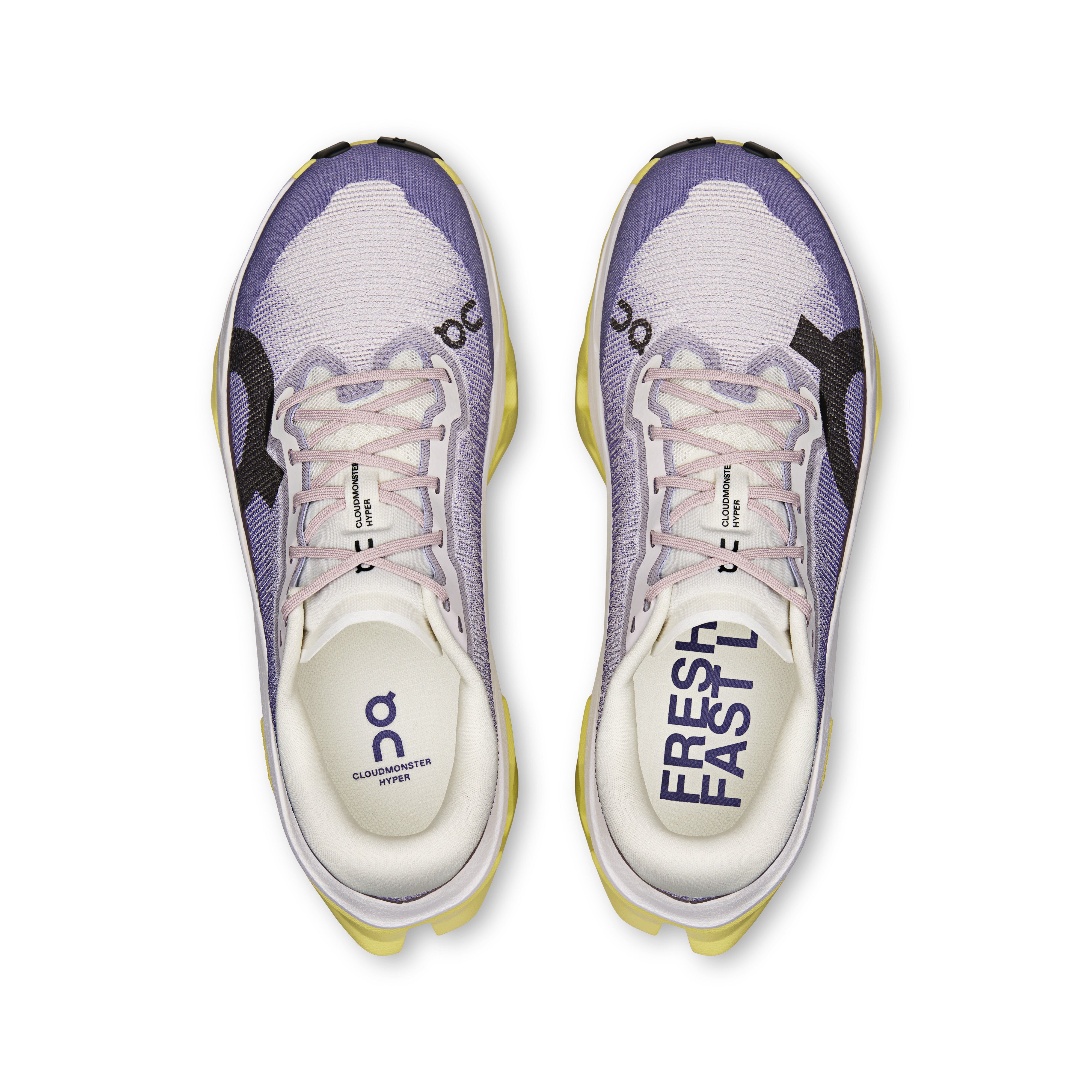 Lily | Limelight