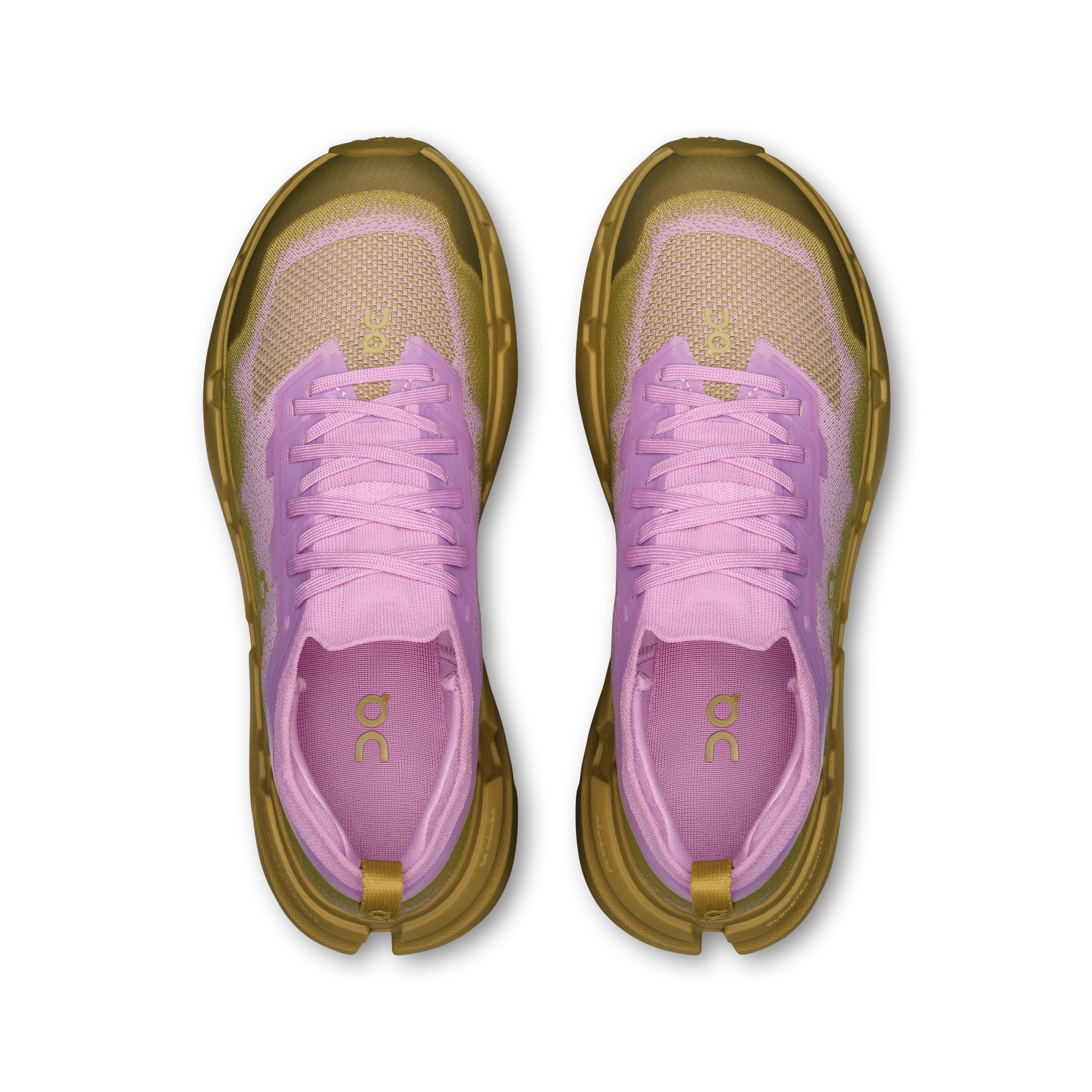 Sakura | Safari