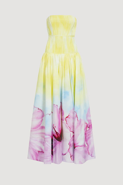 OMBRE HIBISCUS