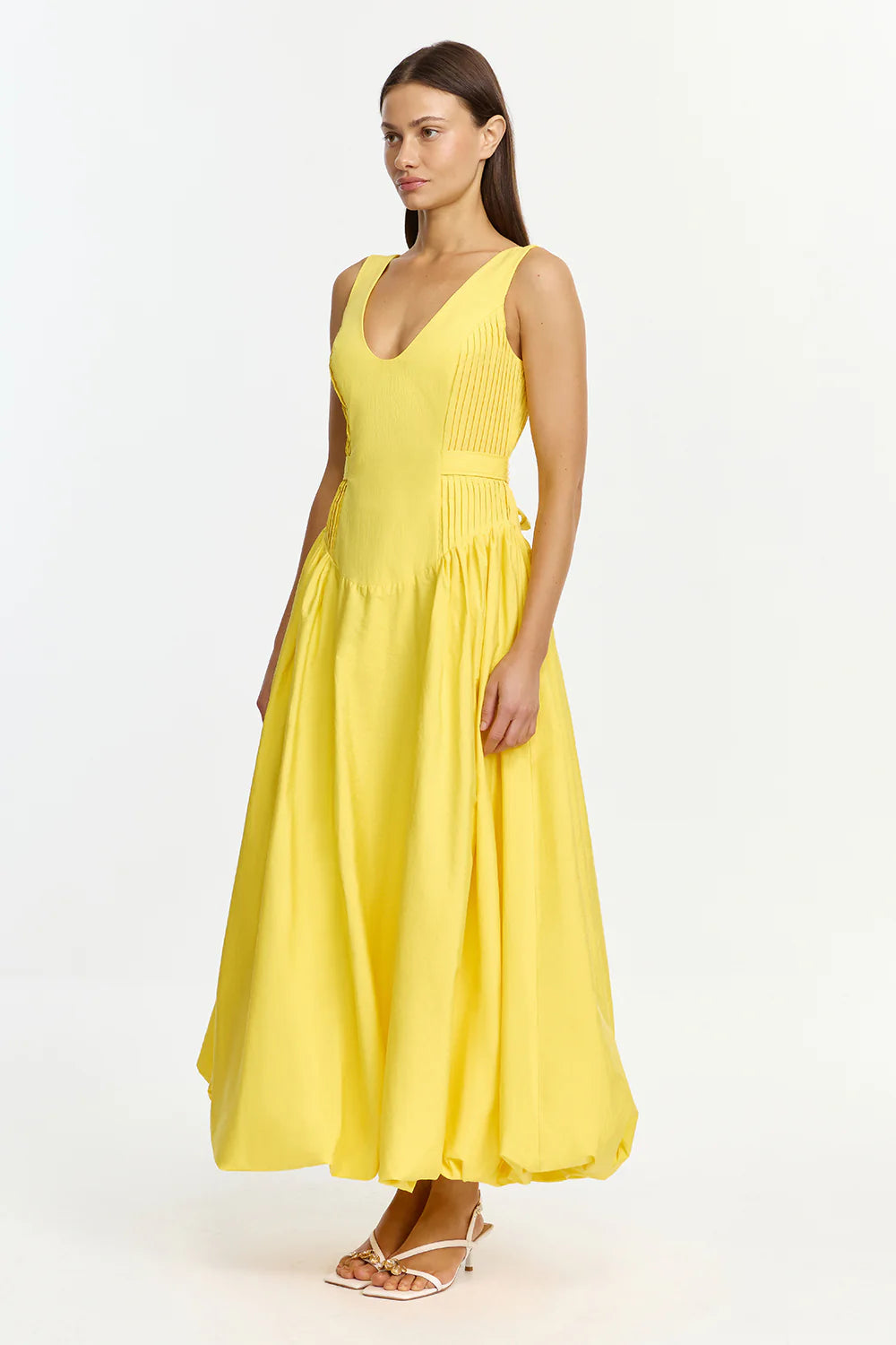 Daffodil