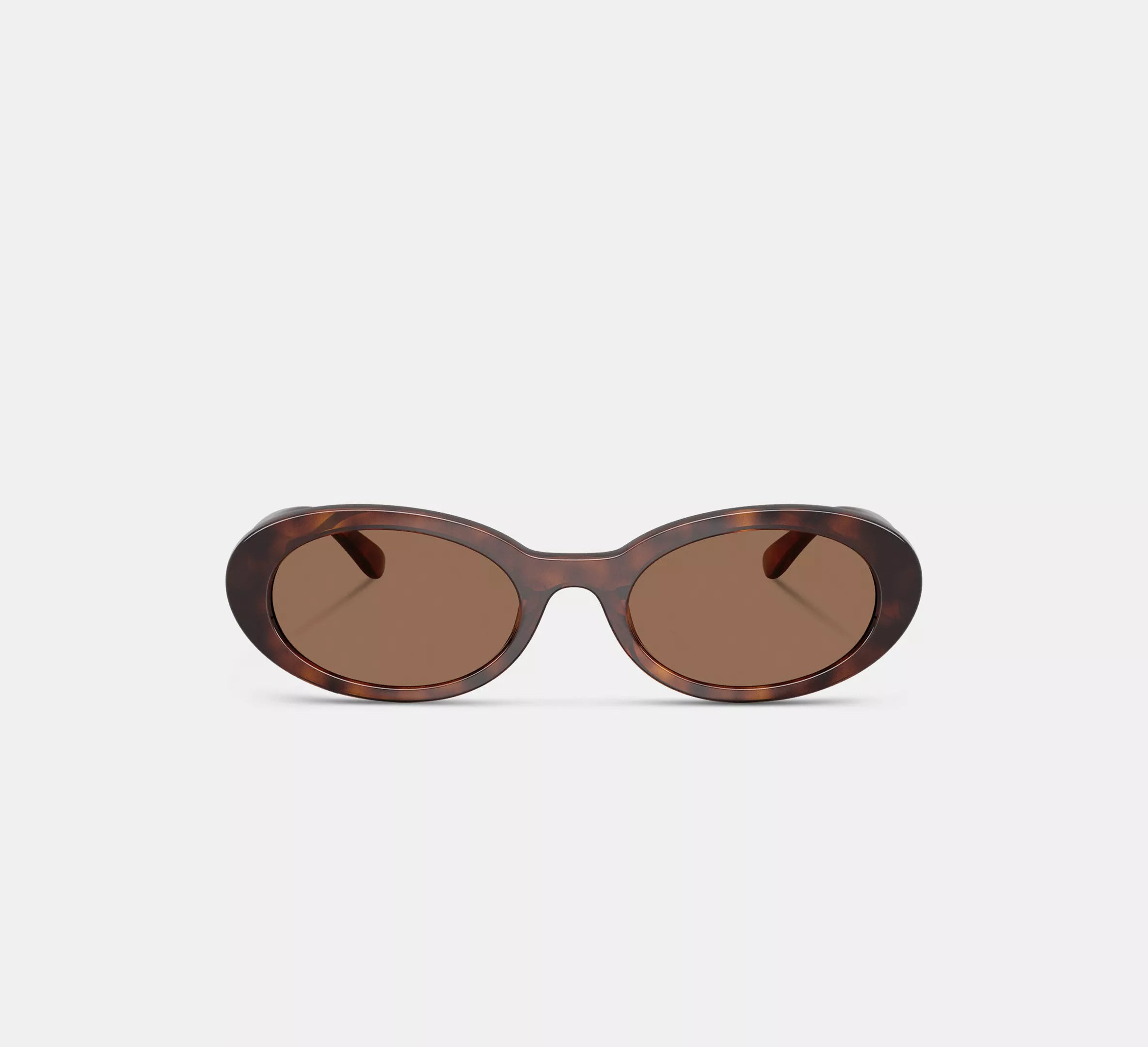 Dark Tortoise