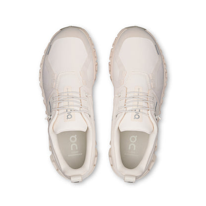 Seashell | Seashell