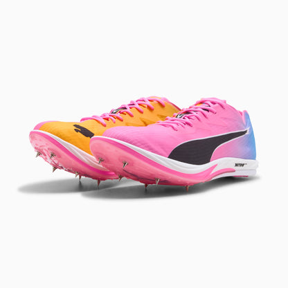 Poison Pink-Sun Stream-Bright Aqua
