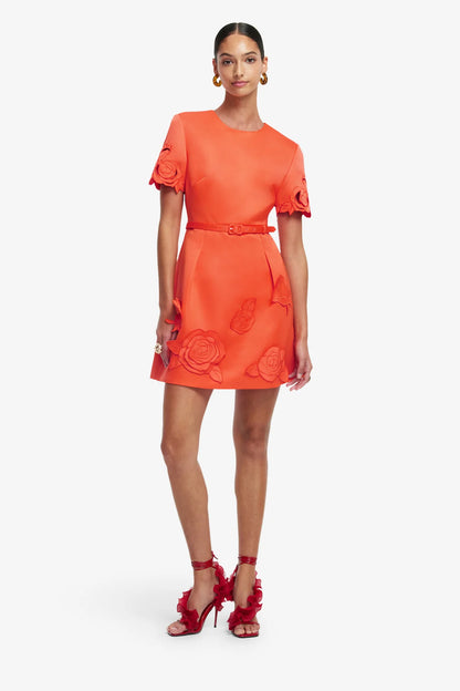 Saffron