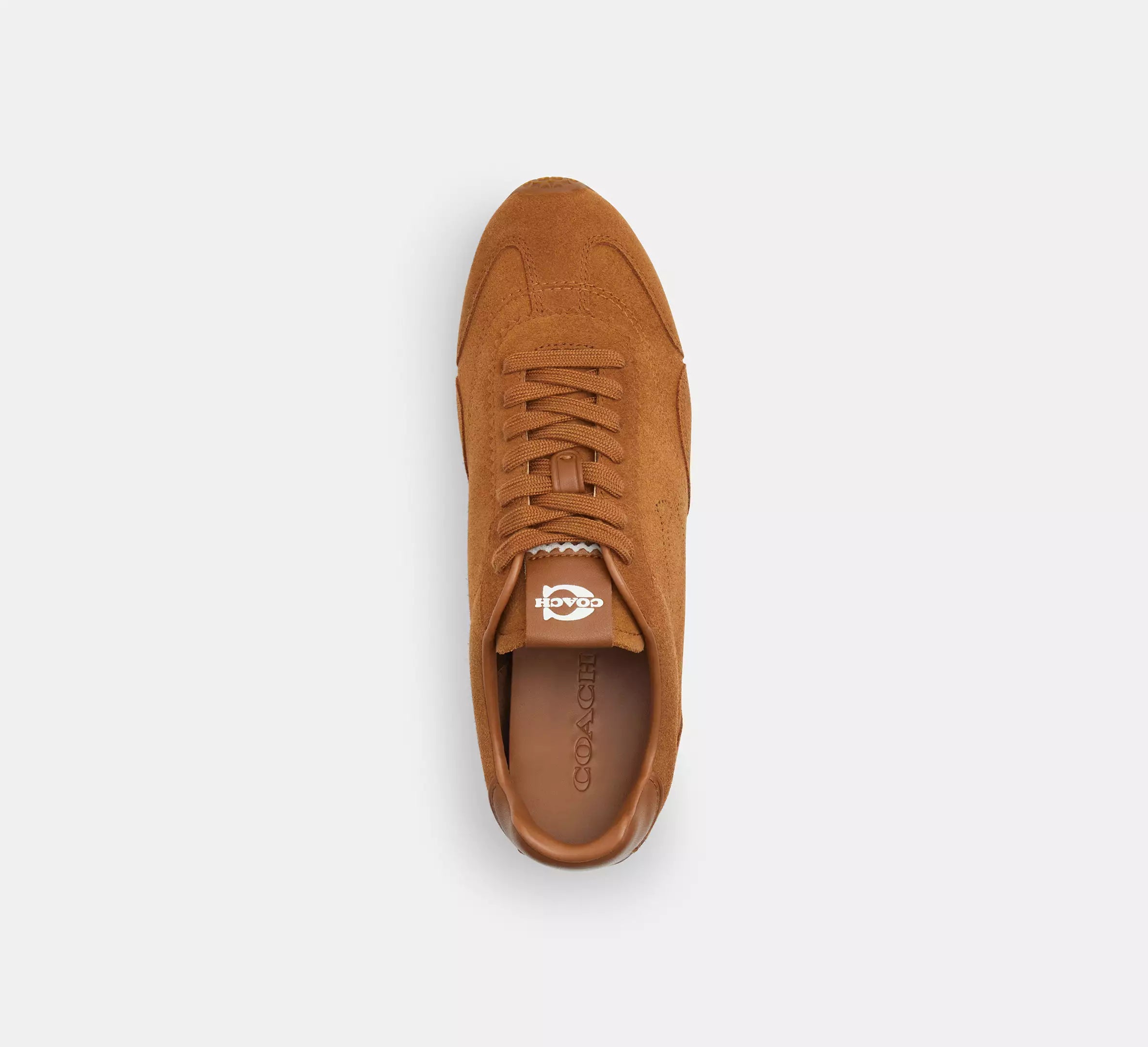Shadow Brown