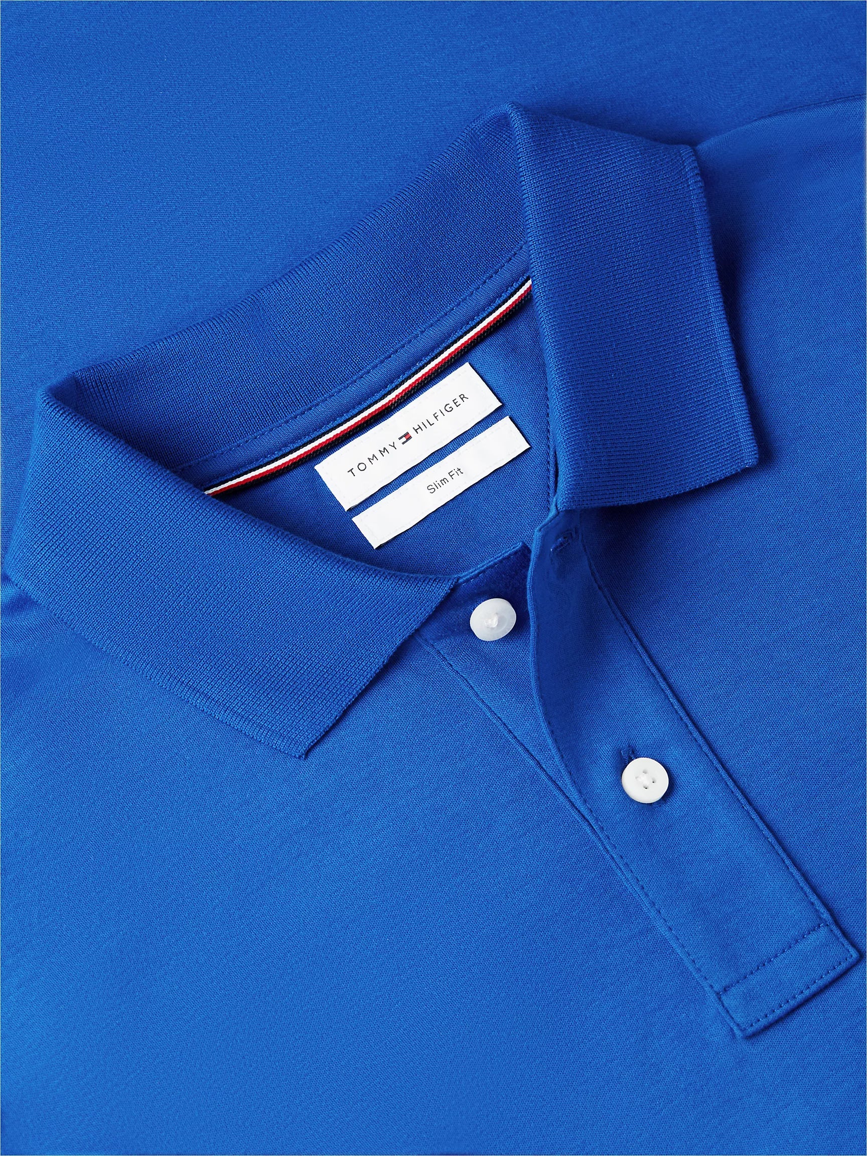 Regal Blue