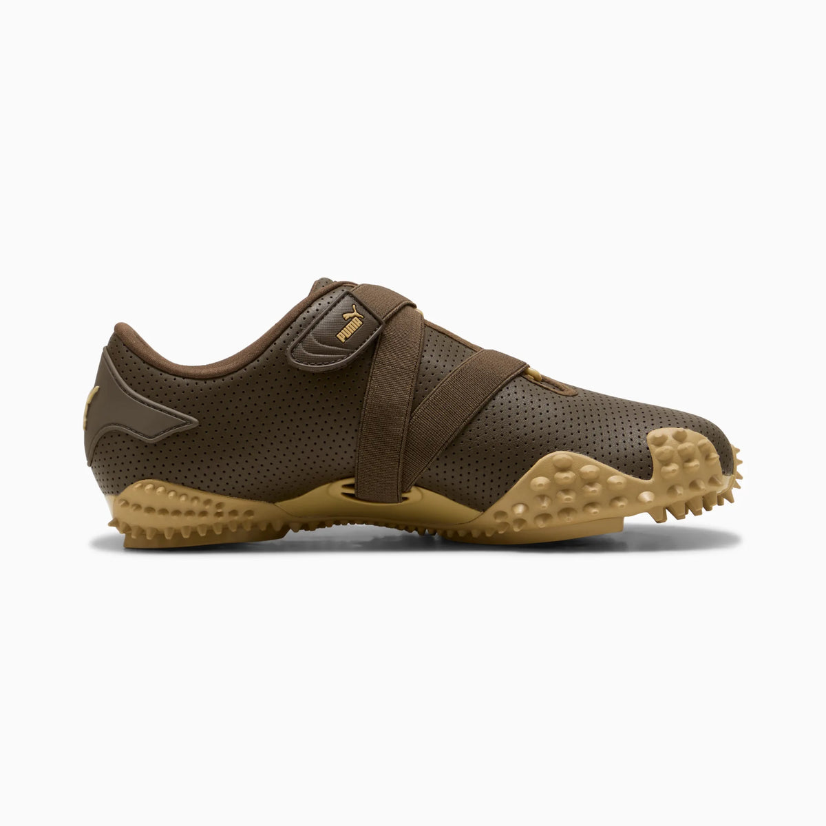 Chocolate-Sand Dune