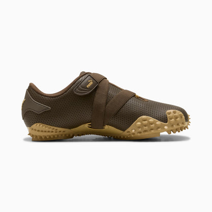 Chocolate-Sand Dune