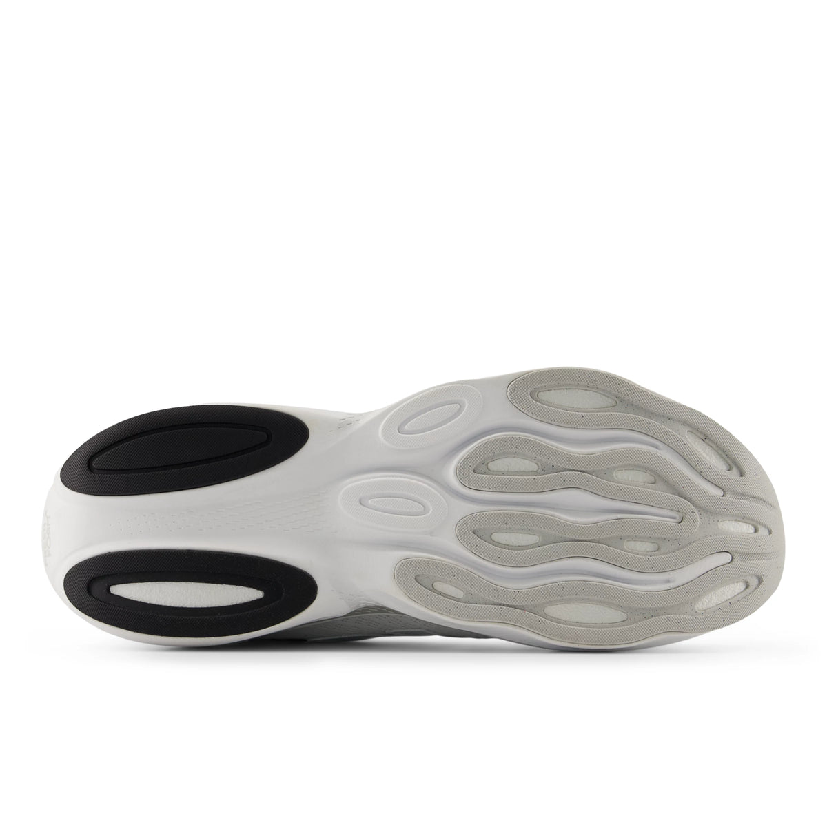 White With Grey Matter And Black
