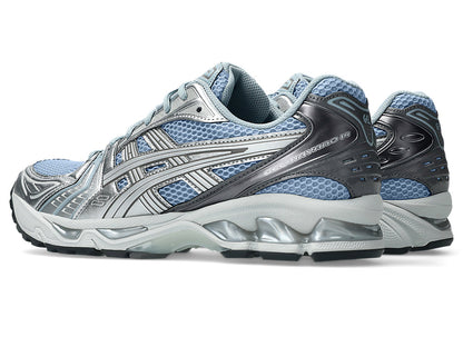 Dolphin Grey/Pure Silver