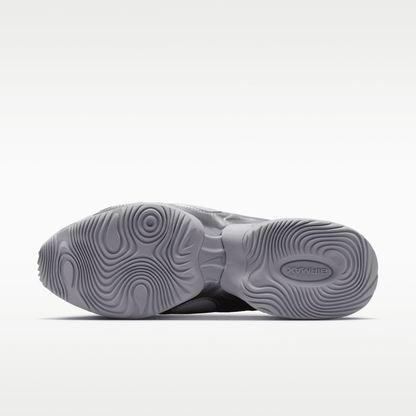 Metallic Silver/Metallic Silver