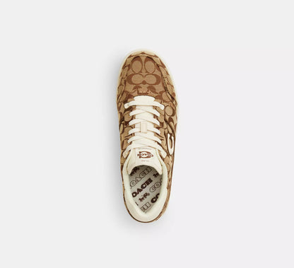 Chalk Multi