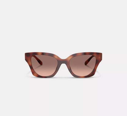 Tortoise Brown