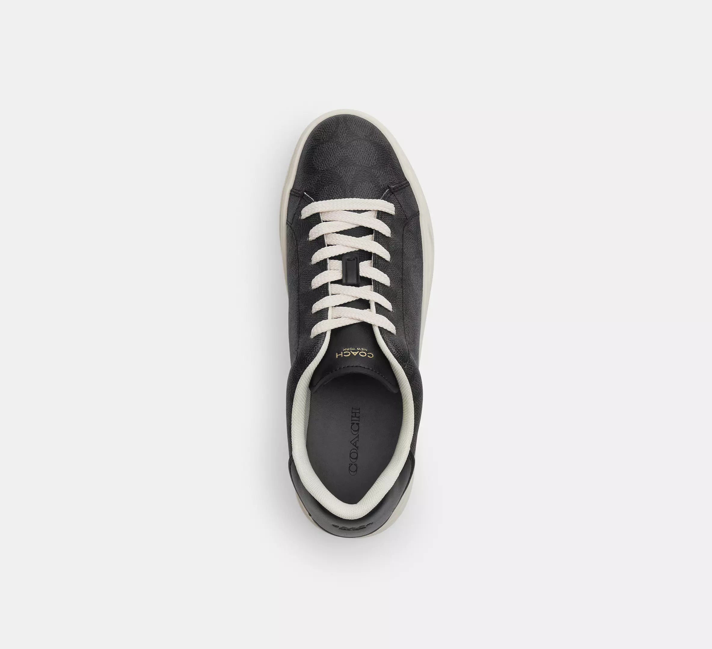 Charcoal/Black