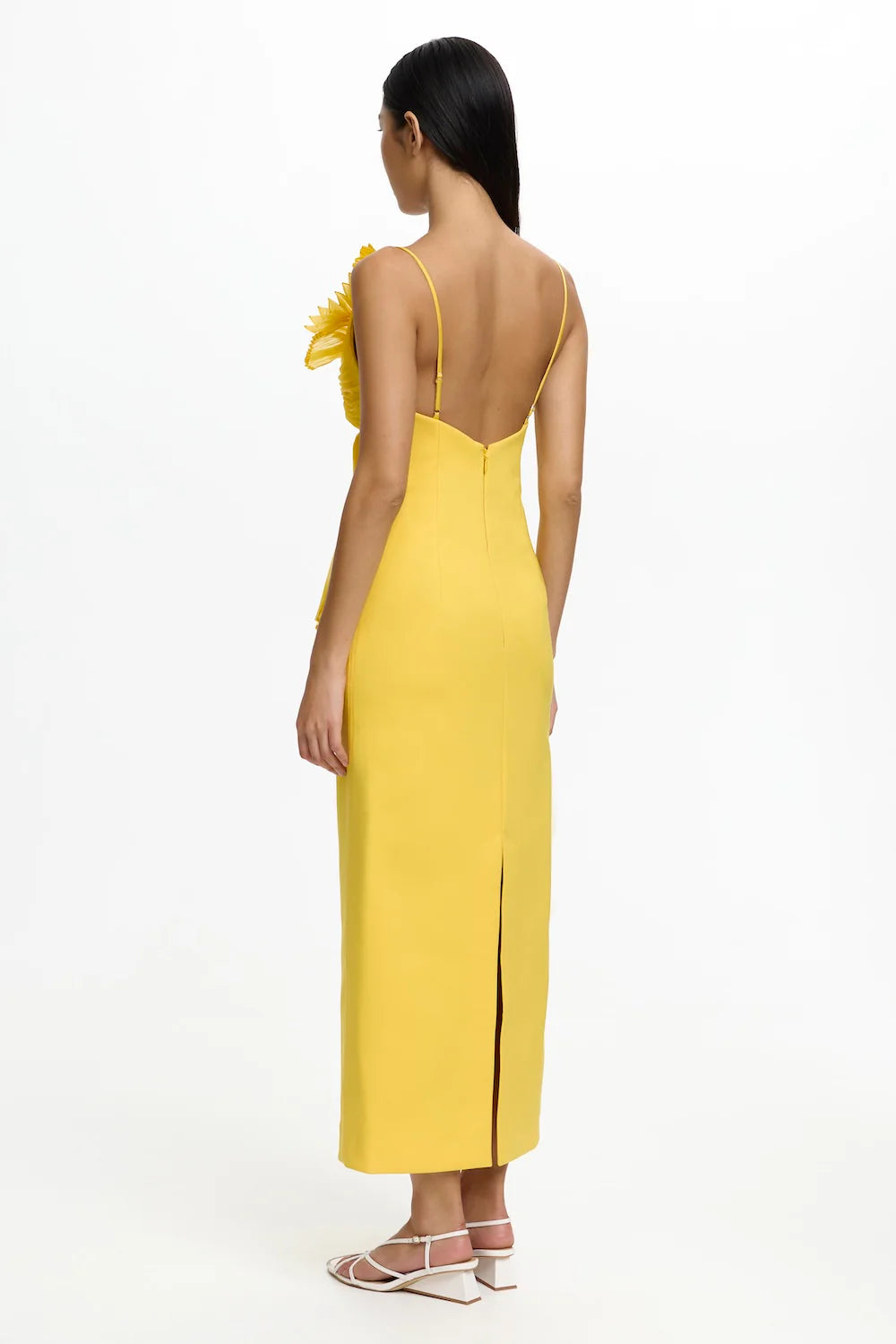 Daffodil