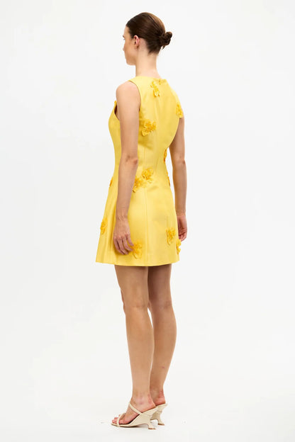 Daffodil