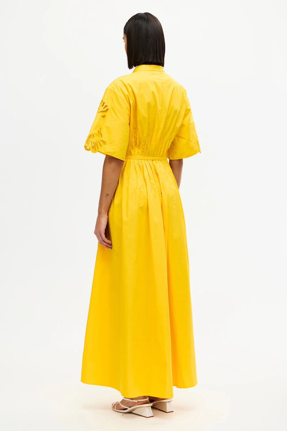 Daffodil