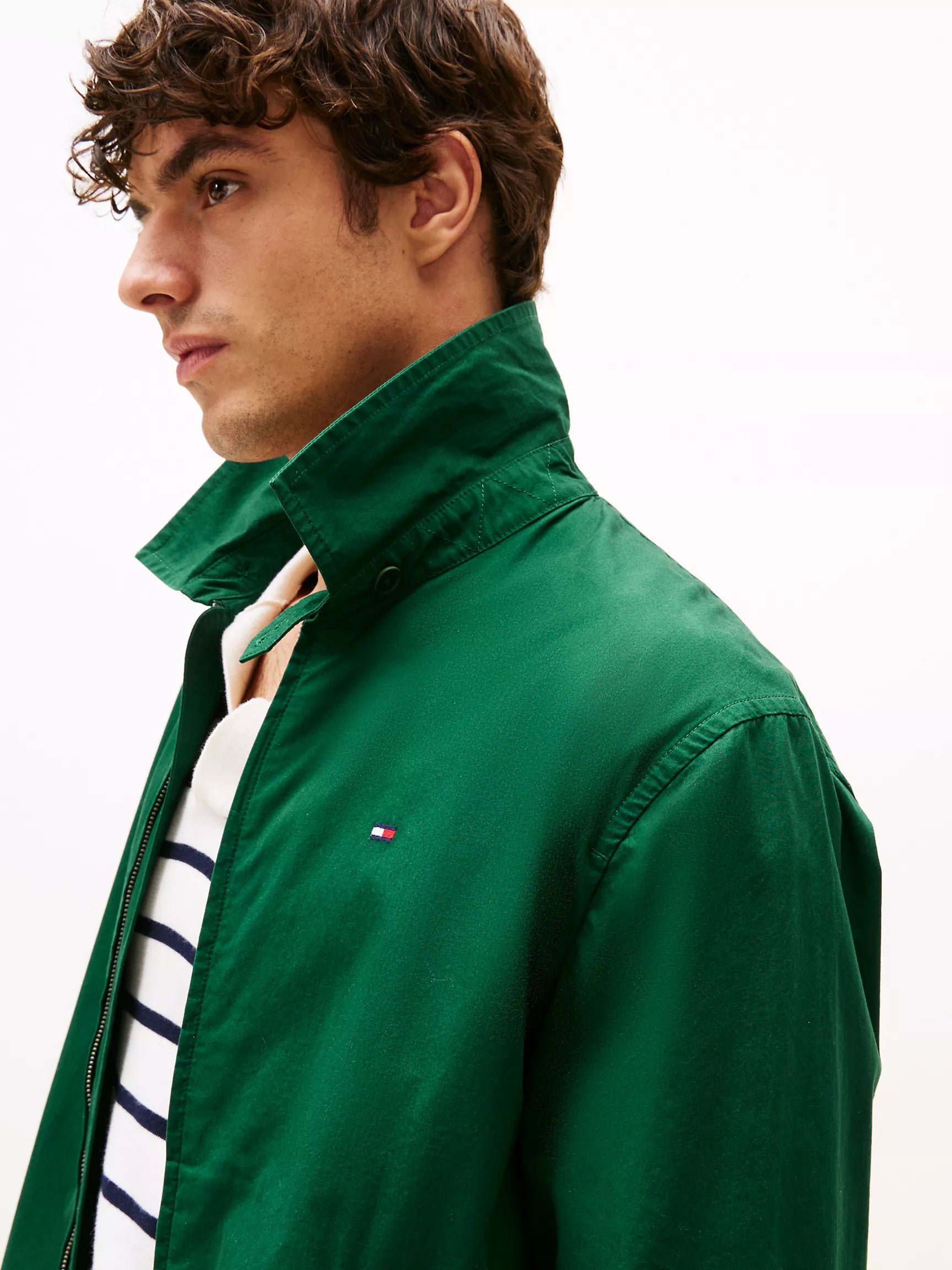 Ornamental Green