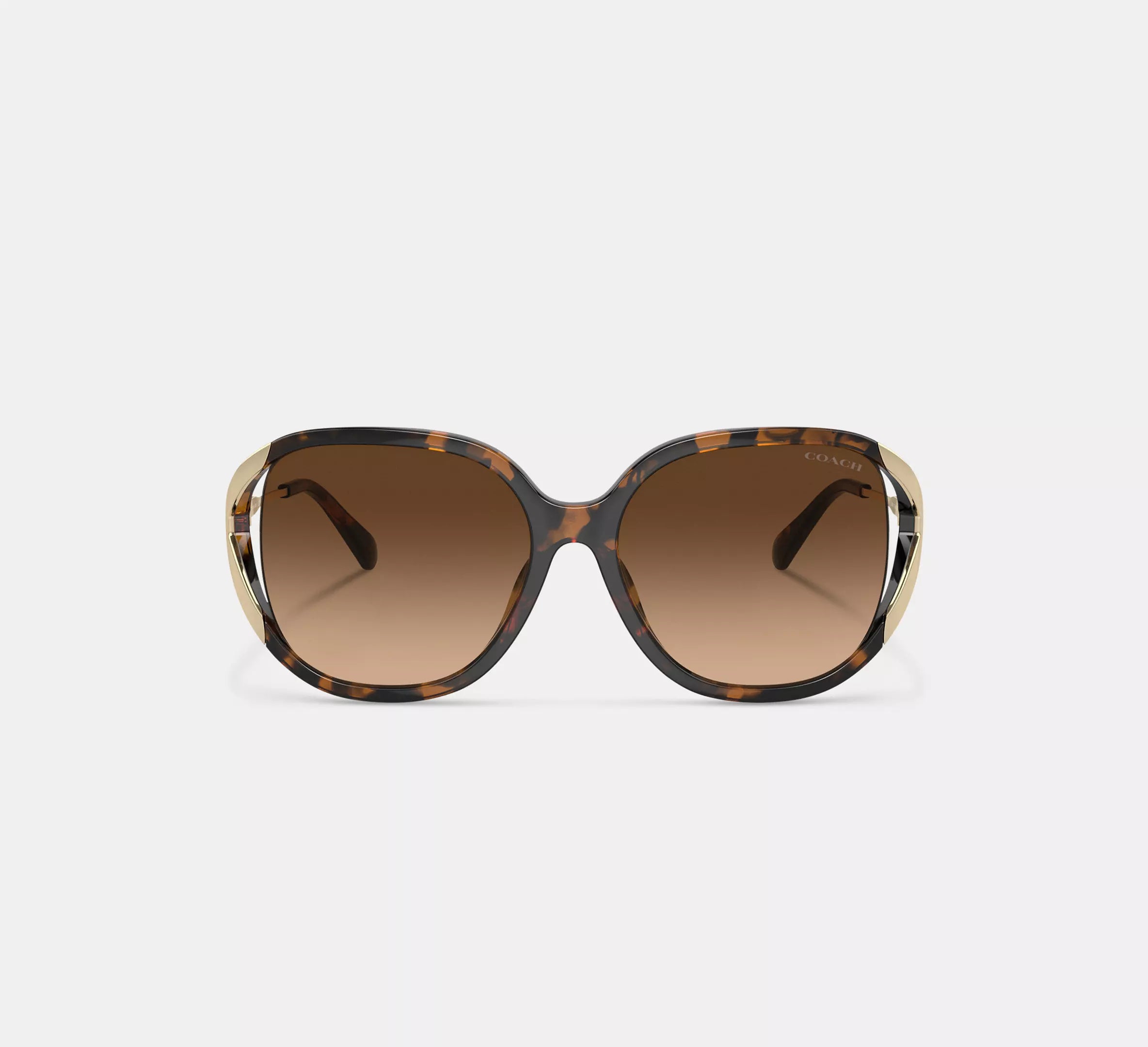 Dark Tortoise/Gold