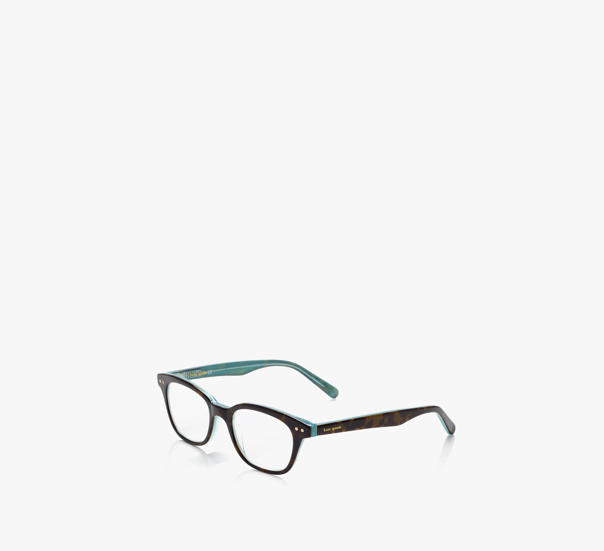Aqua Tortoise