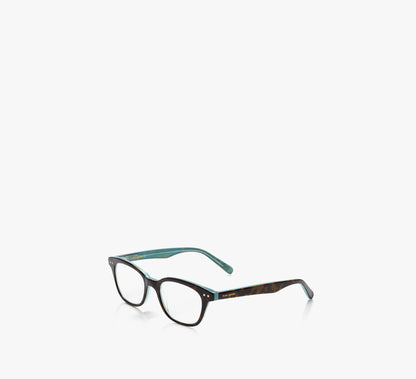 Aqua Tortoise