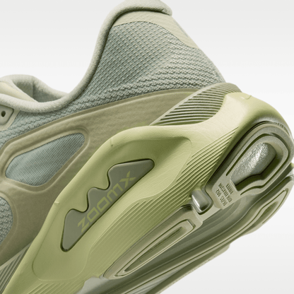 Spruce Fog/Olive Aura