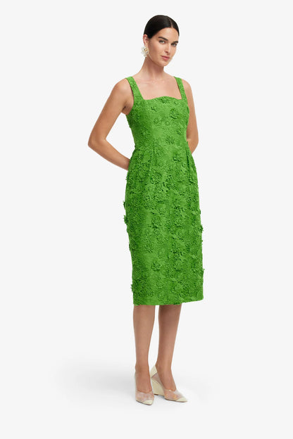 Fern