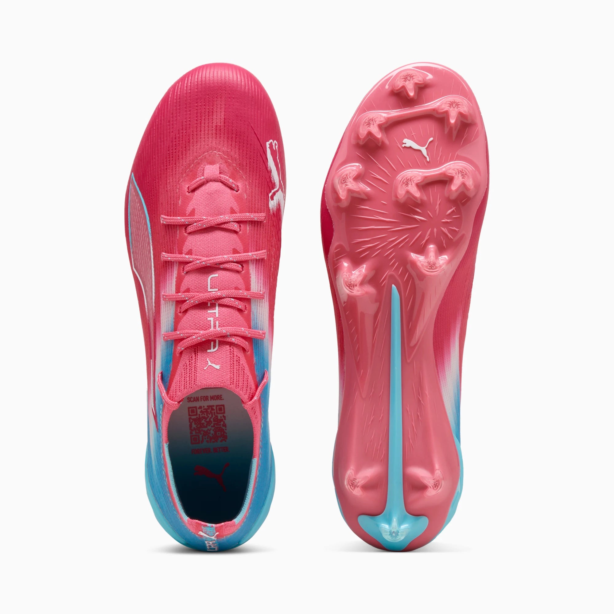 Hero Blue-Sunset Pink-Garnet Rose
