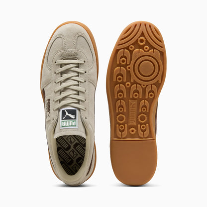Desert Dust-Chestnut Brown-Gum