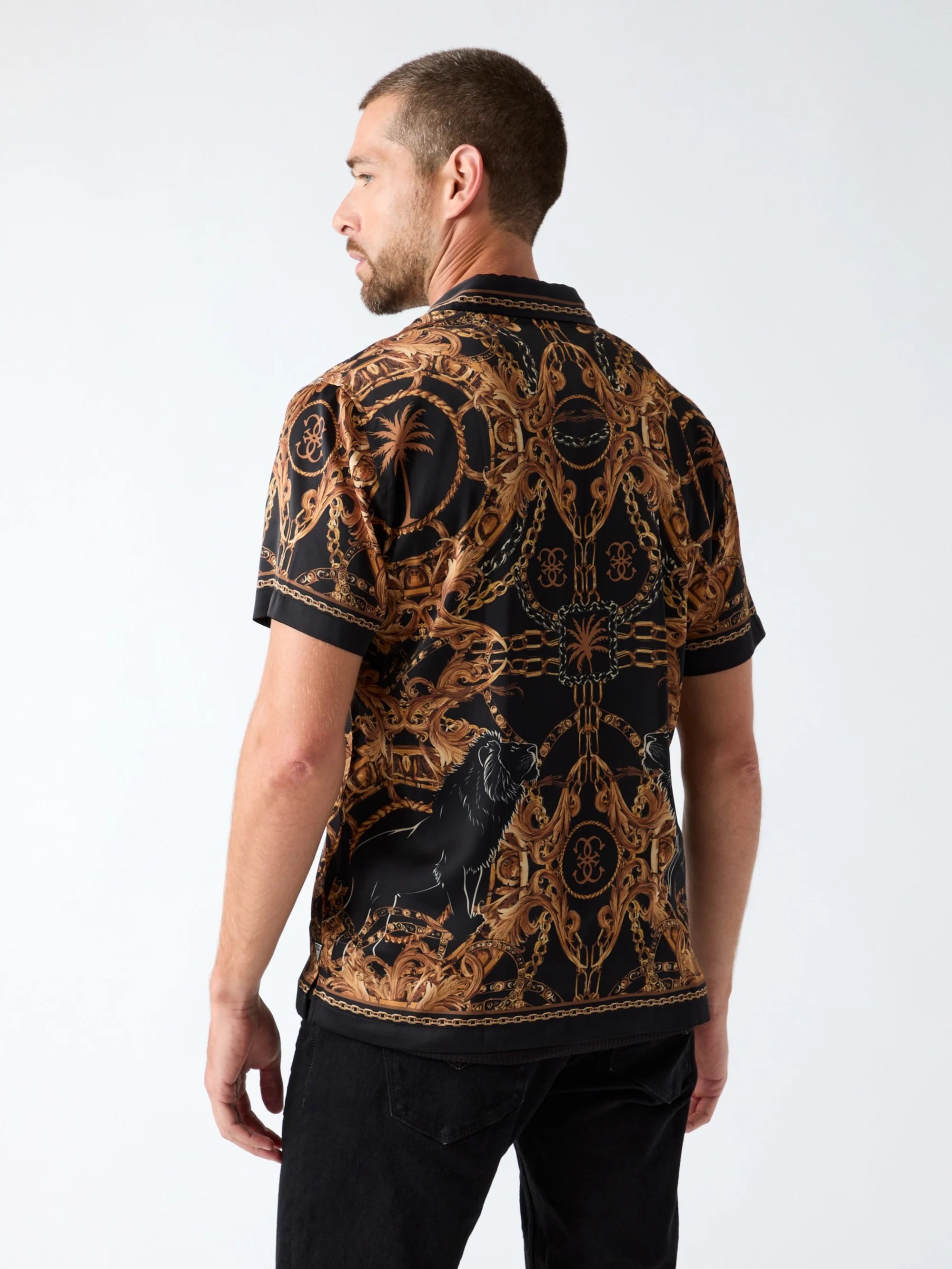 Ornate Lions Print