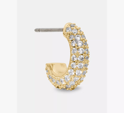 Clear/Gold