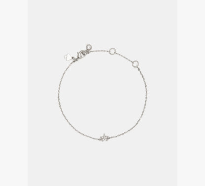 Clear/Silver