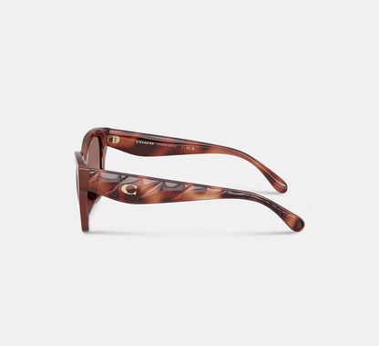 Tortoise Brown