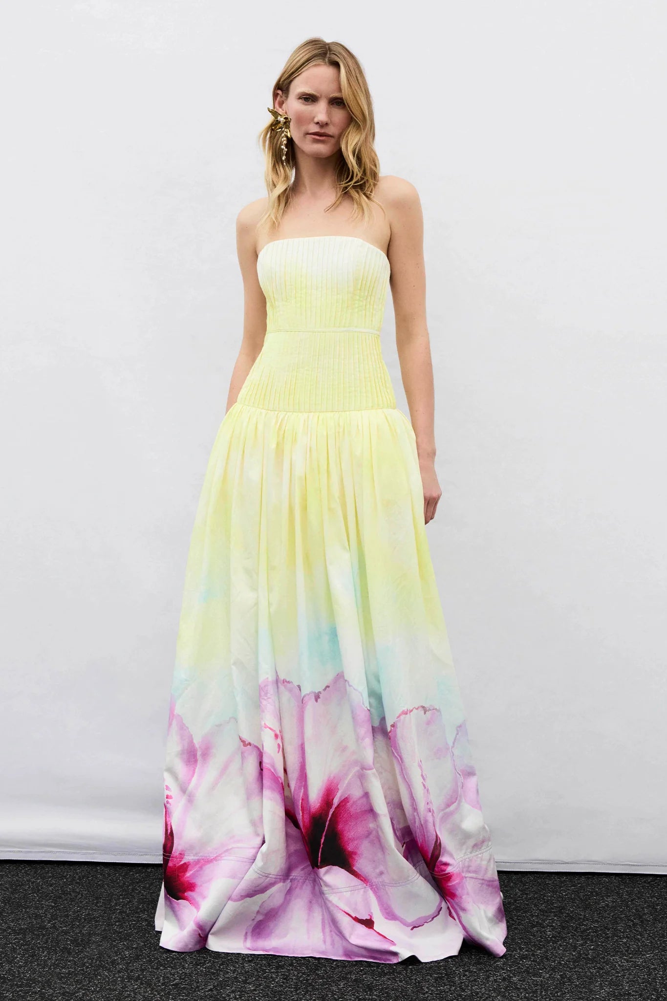 OMBRE HIBISCUS