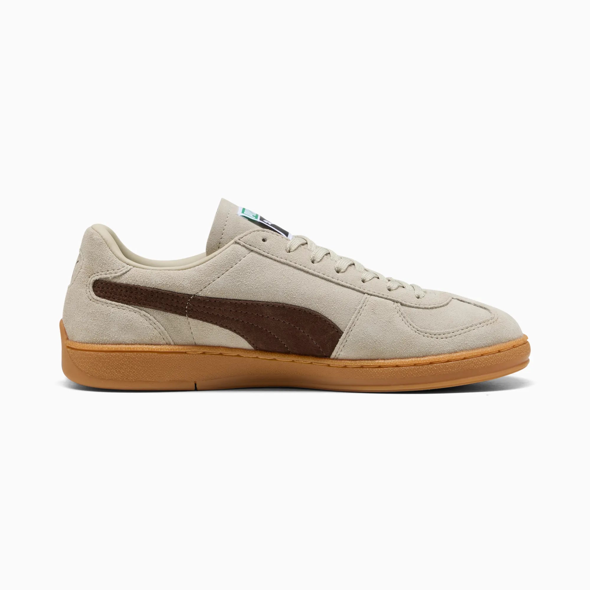 Desert Dust-Chestnut Brown-Gum