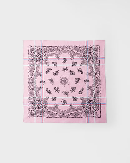 Rosa/AzulCielo