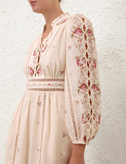 Cream Pink Rose