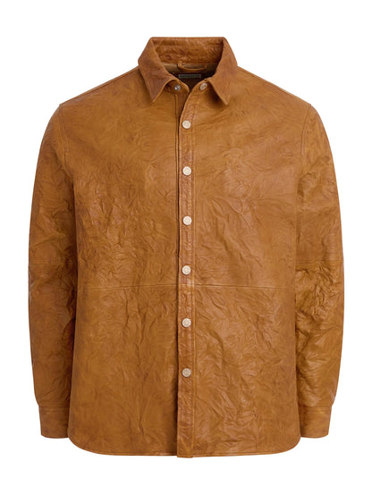 Curcuma Brown Multi