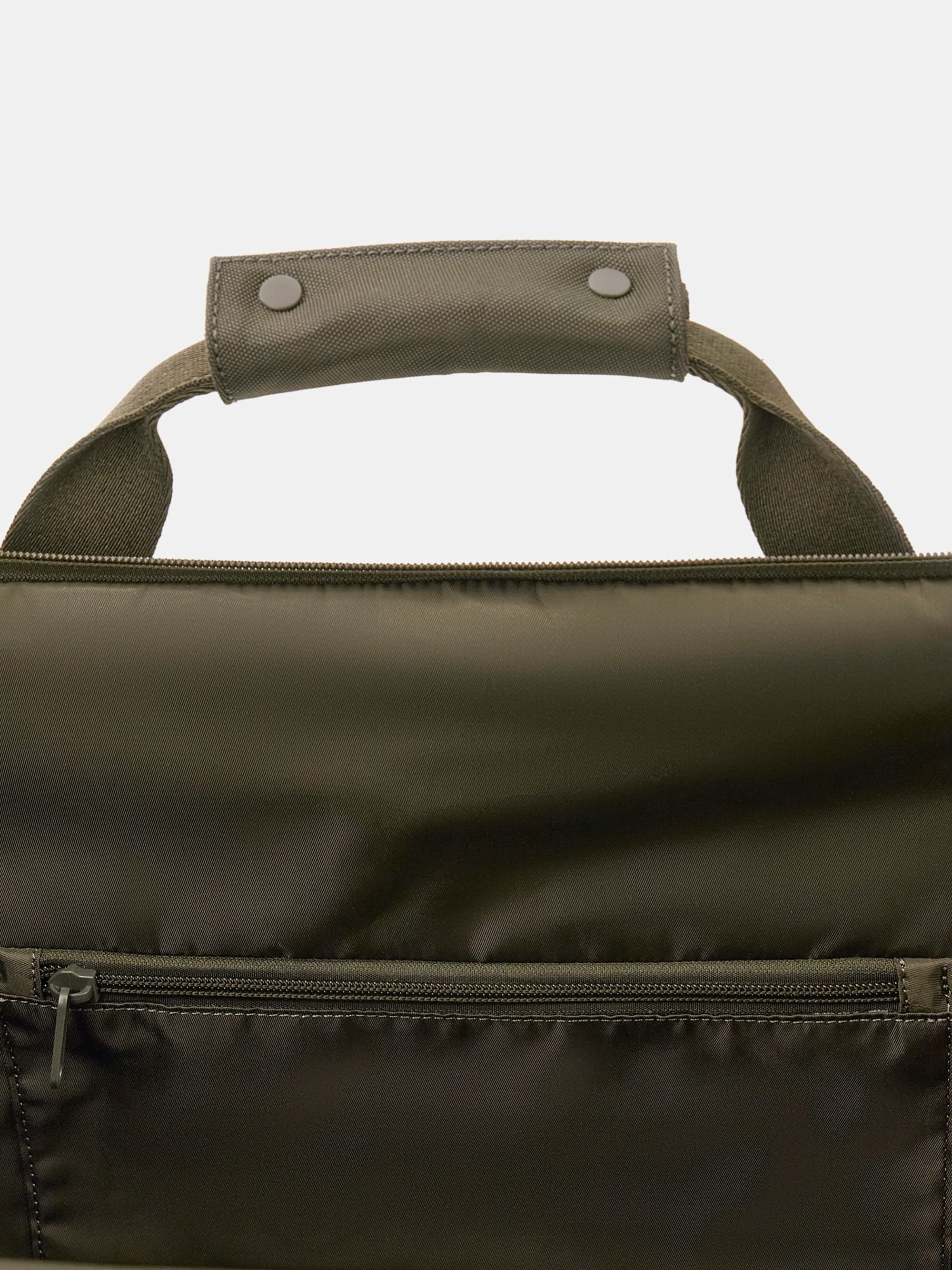 Olive Light Green